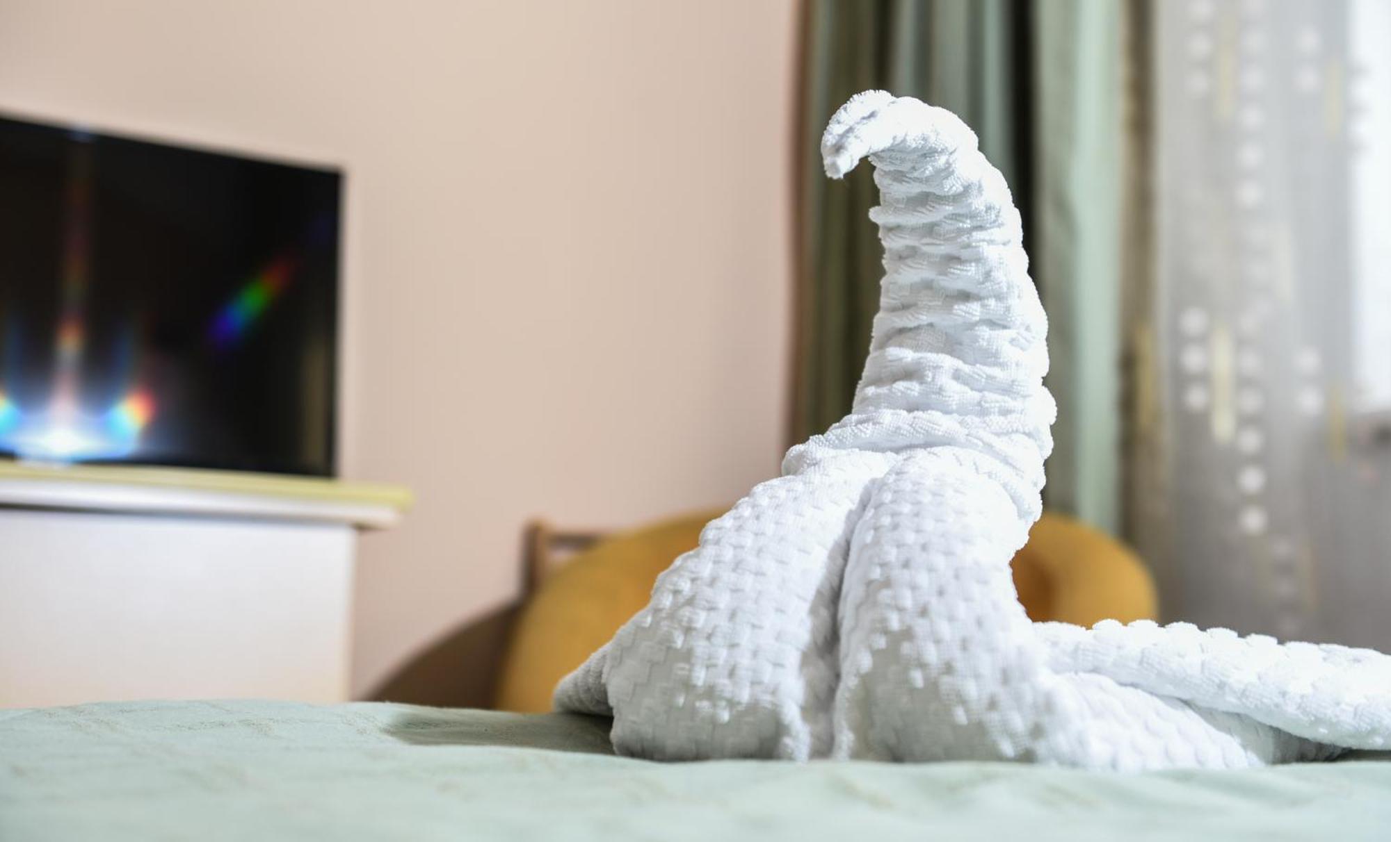Eurohotel Nagybánya Kültér fotó